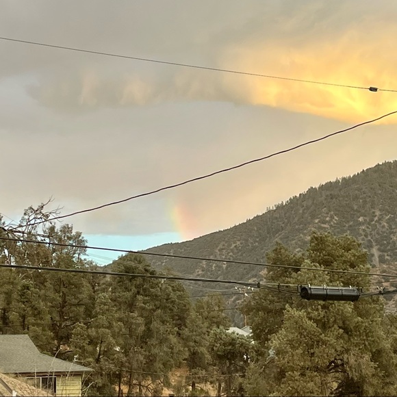 Meet your Posher, Paul - Picture 10 of 14